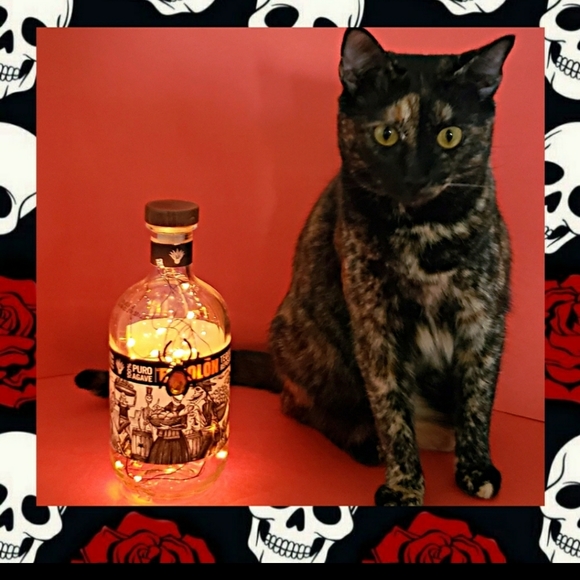 Tequila Decorative Bottle Lights with Orange String Lights - Picture 2 of 4